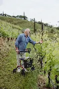 Keine Abbildung zugeordnet  Zusätzliches Produktbild für Outdoor Rollator SALJOL Allround mit Vollausstattung