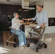 Saljol Wohnraummrollator WR mit Zubehör Zusätzliches Produktbild für Saljol Wohnraumrollator WR
